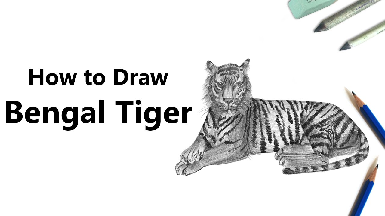 1280x720 how to draw a bengal tiger with pencils - Bengal Tiger Drawing