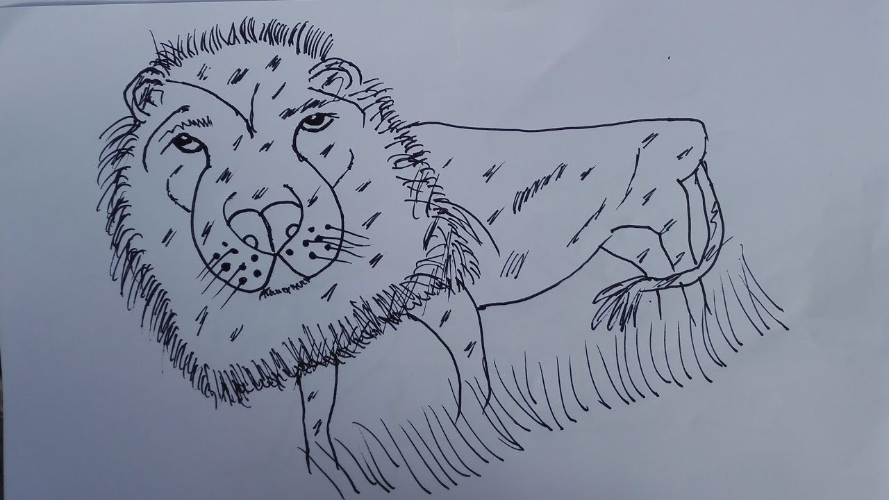 1280x720 how to draw a royal bengal tiger draw a bengal tiger easy draw - Bengal Tiger Drawing