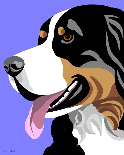 Bernese Mountain Dog Drawing at PaintingValley.com | Explore collection ...