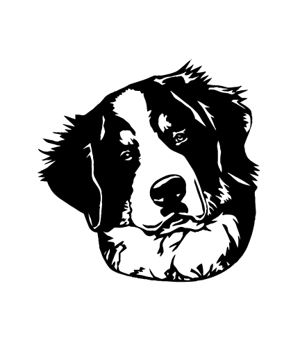 432x500 Geekcals - Bernese Mountain Dog Drawing