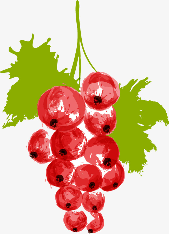650x897 drawing vector material red berries hawthorn png, vector, vector - Berries Drawing