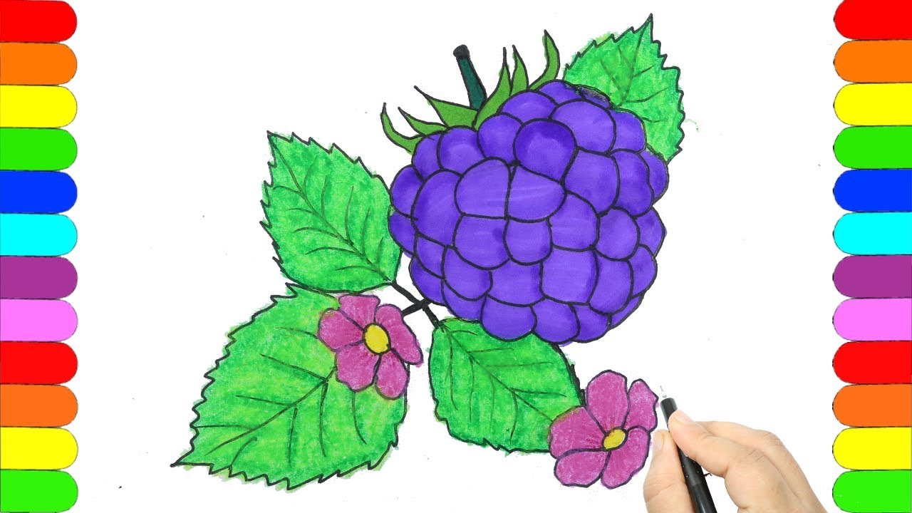 1280x720 how to draw berries berries step - Berries Drawing