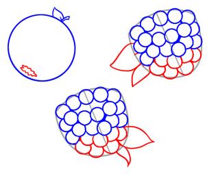 302x254 how to draw how to draw berries - Berries Drawing