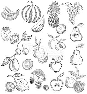 278x299 set from fruit and berries drawing premium clipart - Berries Drawing