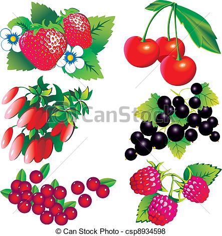 443x470 berries collection vector berries collection vector art - Berries Drawing