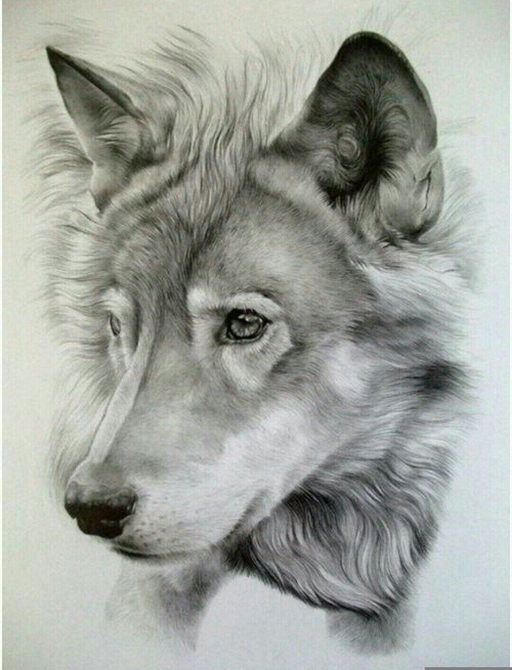 Best Drawing at PaintingValley.com | Explore collection of Best Drawing