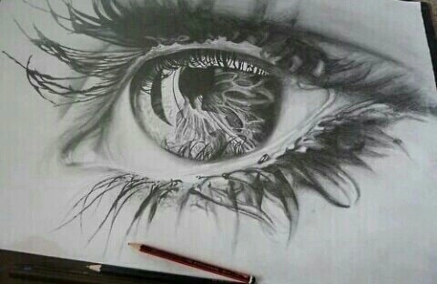 480x312 Best Drawing Ever - Best Drawing Ever