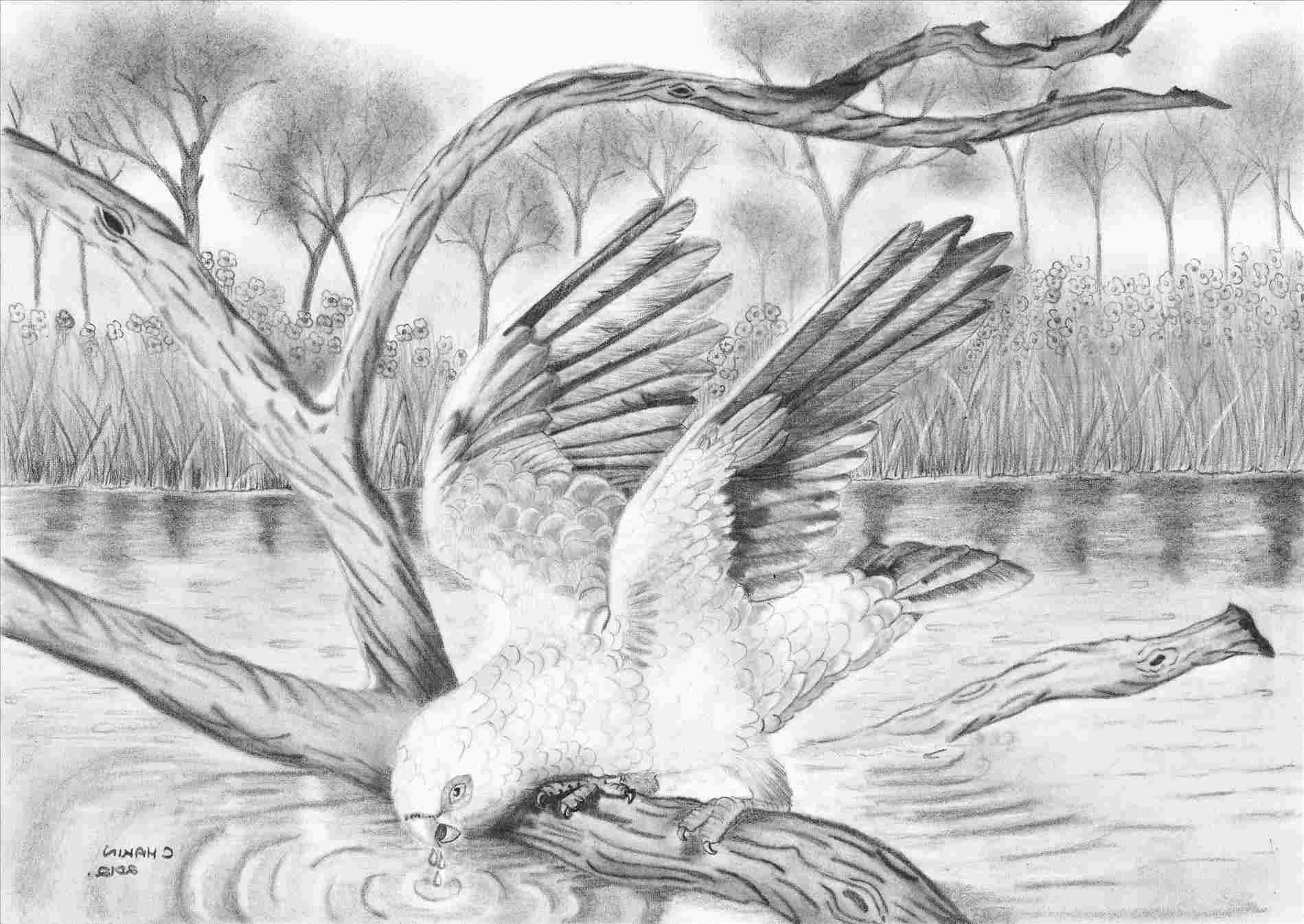 Best Drawing Ever at PaintingValley.com | Explore collection of Best