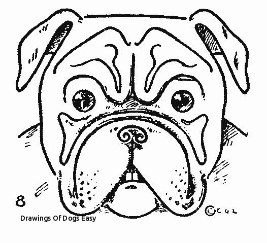 526x479 Drawings Of Dogs Easy Best Drawing For Kids Step - Best Drawing For Kids