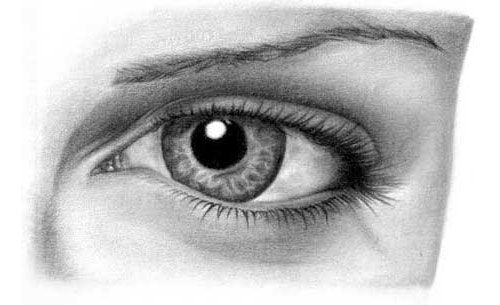 500x305 The Best Drawing Tutorials Learn How To Draw - Best Drawing Pictures