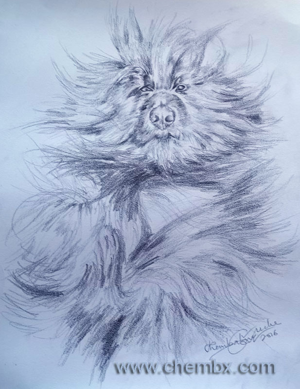 617x800 custom drawing sketching carving artist in lagos abuja nigeria - Best Drawing Pictures