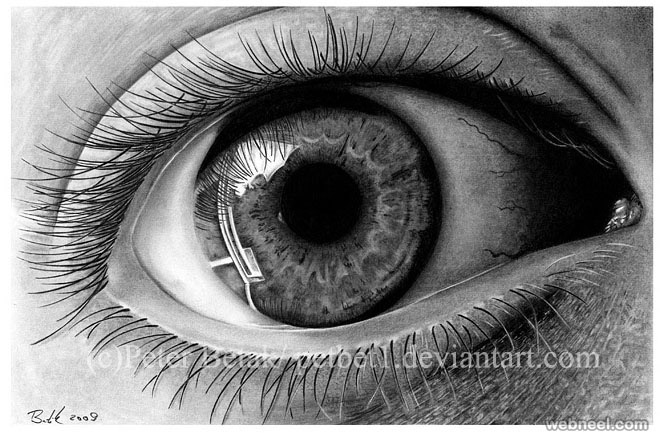 660x433 Best Drawing Beautiful And Realistic Pencil Drawings Of Eyes - Best Drawing Pictures