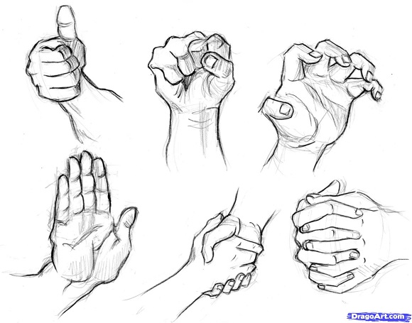 580x455 Best Collection Of Step - Best Drawing Tutorials