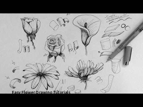 480x360 Easy Flower Drawing Tutorials Best How To Draw Tutorials - Best Drawing Tutorials