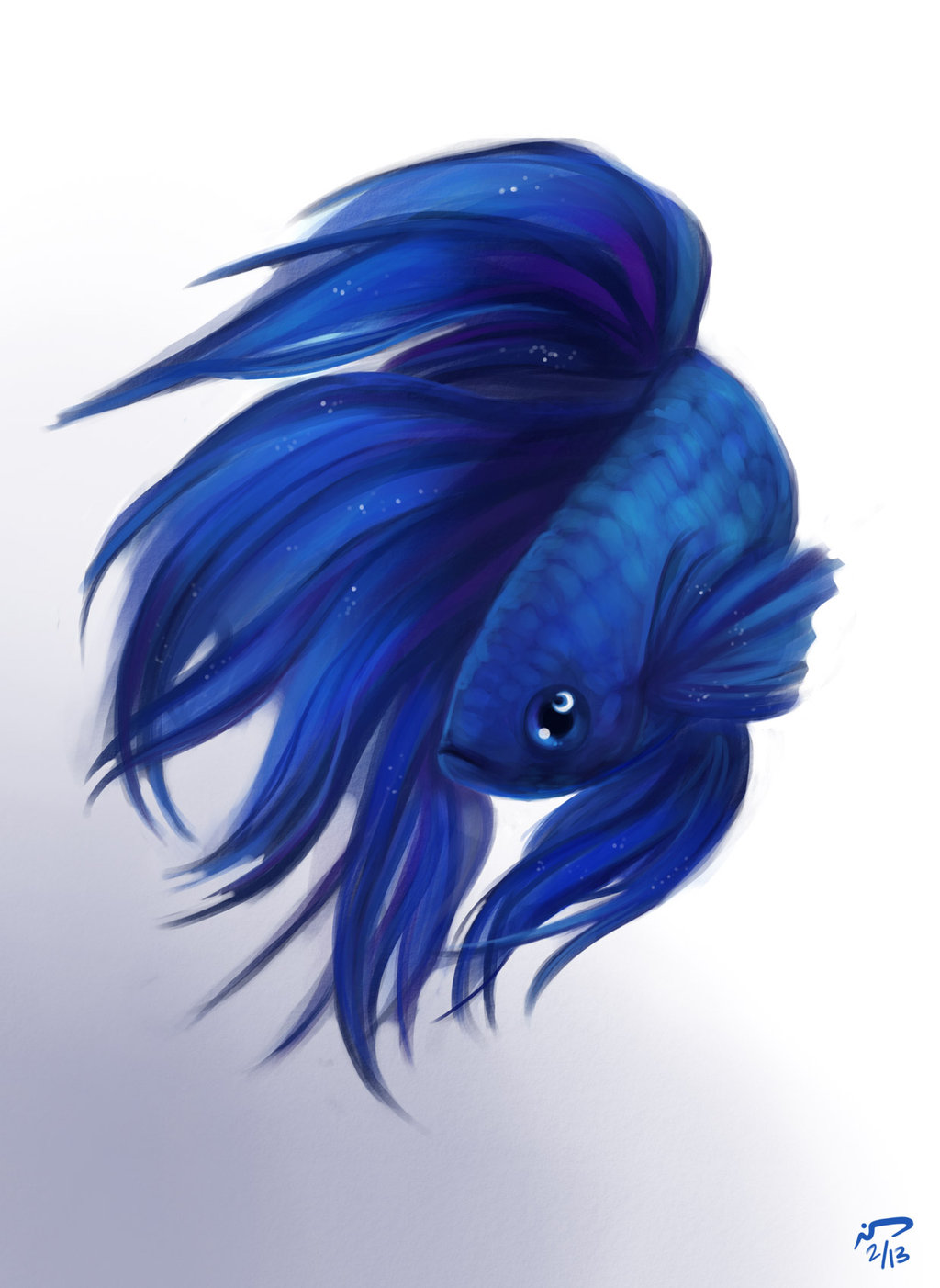 1024x1402 betta fish drawing - Beta Fish Drawing