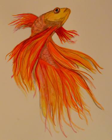 375x467 betta fish ulu drawing - Beta Fish Drawing