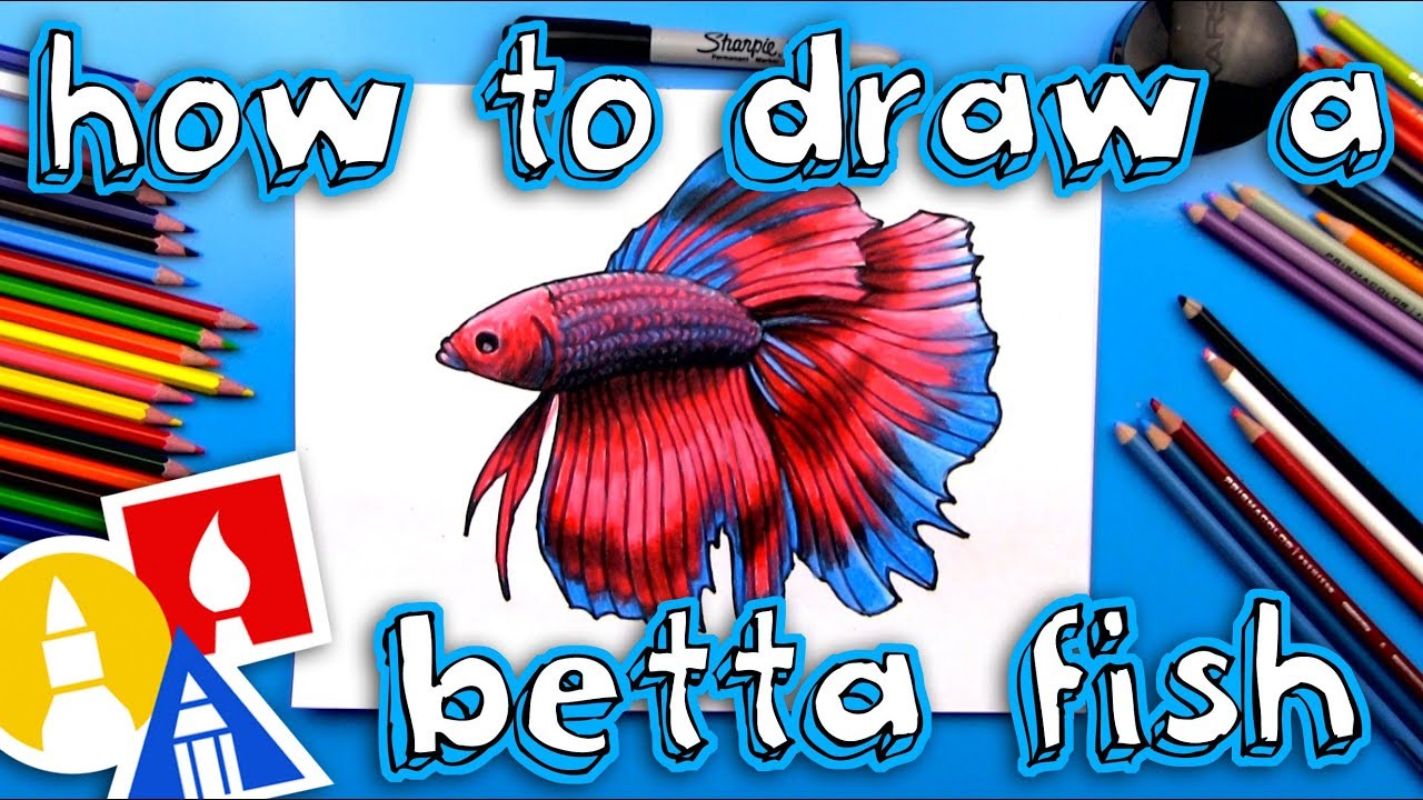 1280x720 how to draw a realistic betta fish - Beta Fish Drawing