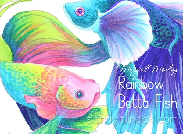 600x440 magical monday rainbow betta fish drawing sandy allnock - Beta Fish Drawing