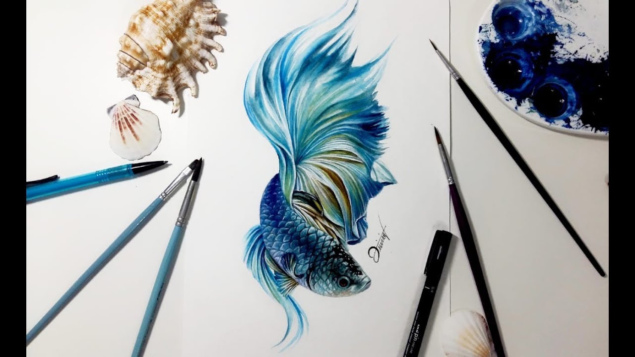 1280x720 Speed Drawing - Beta Fish Drawing