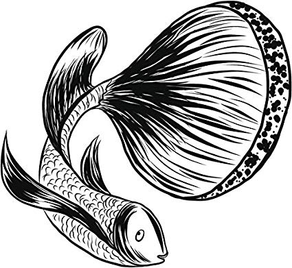 425x391 pretty black and white betta fish pen sketch drawing - Beta Fish Drawing