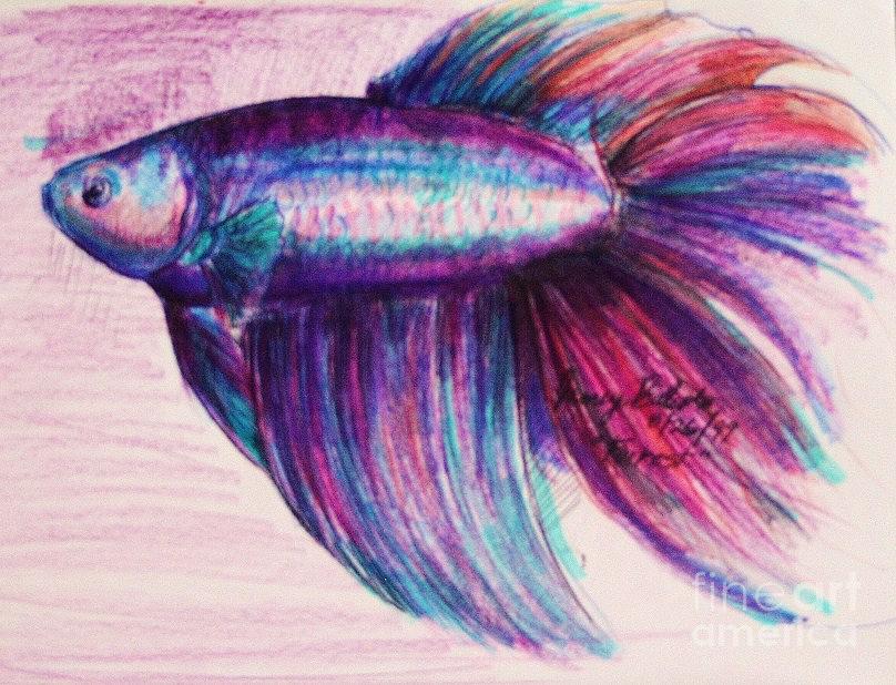 808x618 forrest the betta drawing - Betta Drawing
