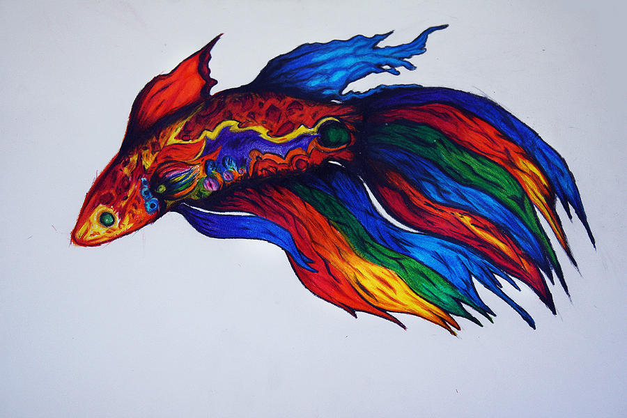 900x600 Simese Fighting Fish - Betta Drawing