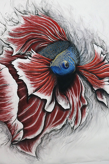 360x540 Drawing Art My Art Draw Animal Artist Fish Charcoal My Artwork - Betta Drawing