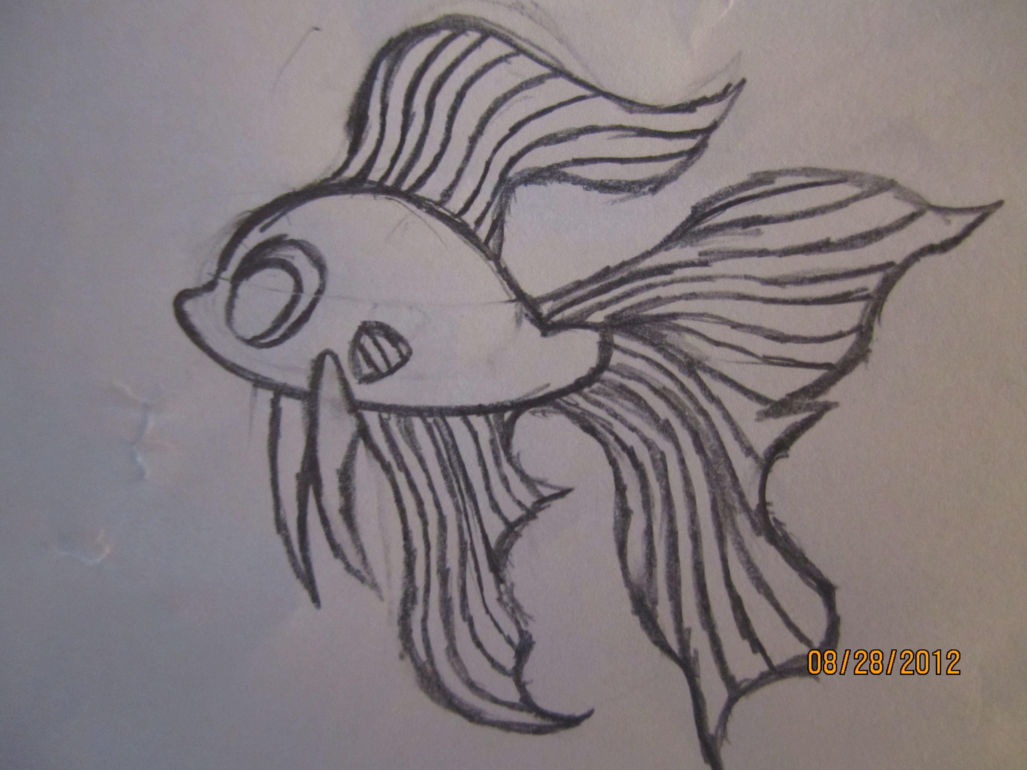 3456x2592 easy betta fish drawing tropical fish drawing at getdrawings - Betta Fish Drawing