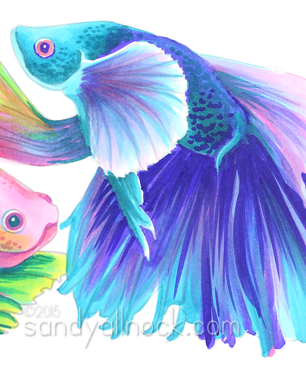 600x715 magical monday rainbow betta fish drawing sandy allnock - Betta Fish Drawing
