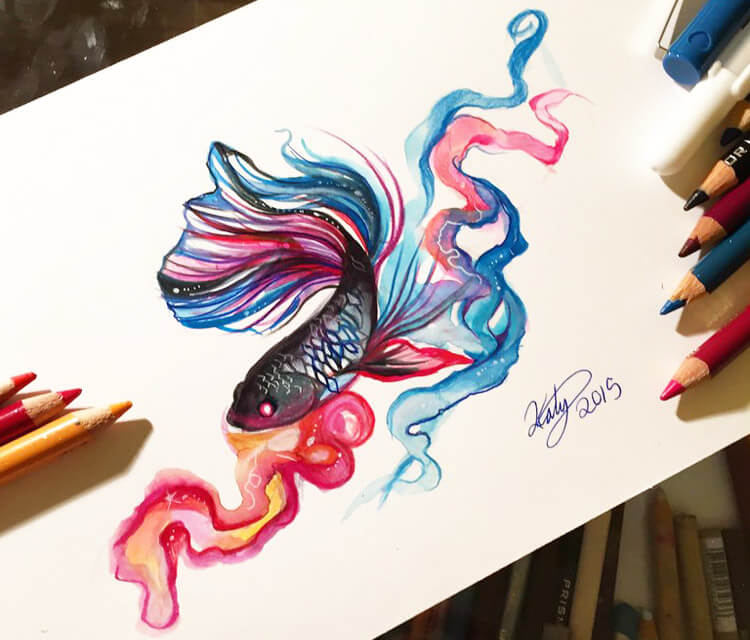 750x640 betta fish color drawing - Betta Fish Drawing