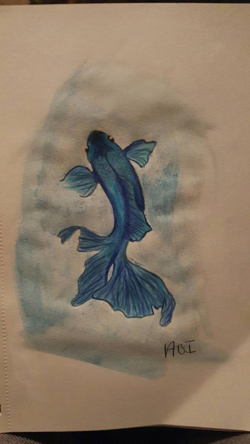 794x1412 betta fish drawing etsy - Betta Fish Drawing