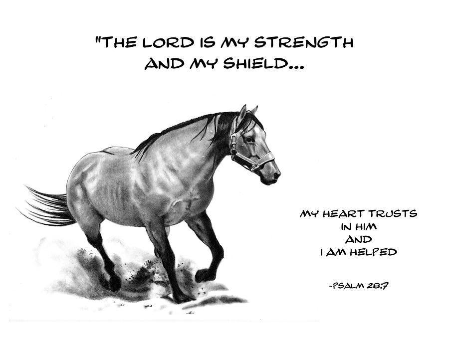 900x688 bible verse with drawing of horse drawing - Bible Drawing