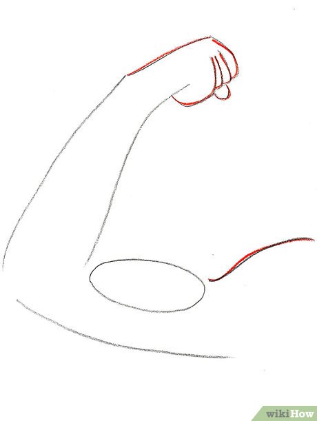 460x611 how to draw biceps steps - Bicep Drawing