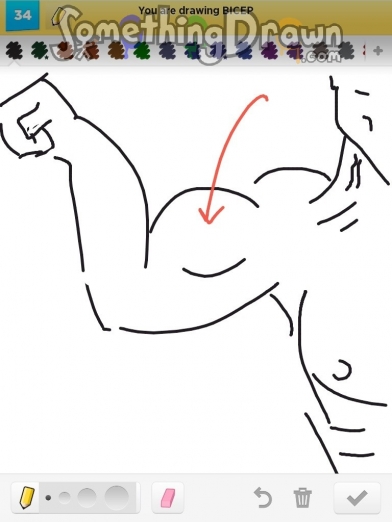 392x522  - Bicep Drawing