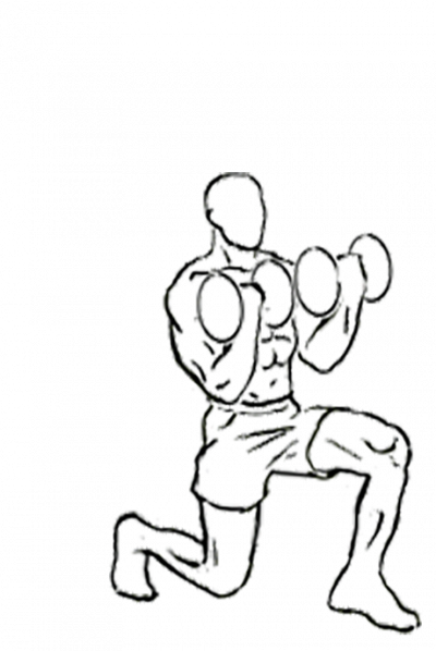 400x598 biceps drawing reference transparent png clipart free download - Bicep Drawing