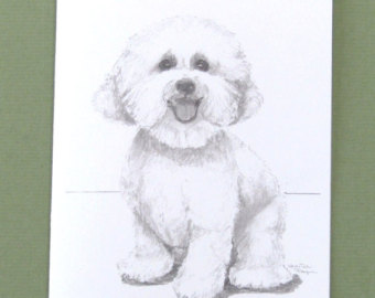 340x270 Bichon Frise Drawing Etsy - Bichon Frise Drawing