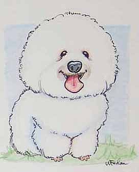 272x338 Caricature Of Bichon Frise Drawing - Bichon Frise Drawing