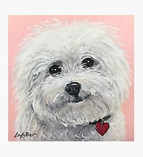 210x230 Cute Bichon Frise Drawing Wall Art Redbubble - Bichon Frise Drawing