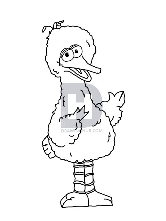 540x720 How To Draw Big Bird, Step - Big Bird Drawing