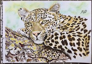 300x210 Big Cat Leopard Wildlife Penampampink Colour Signed Original Art - Big Cat Drawings