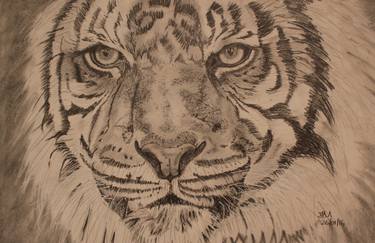 375x243 Big Cat Drawings For Sale Saatchi Art - Big Cat Drawings