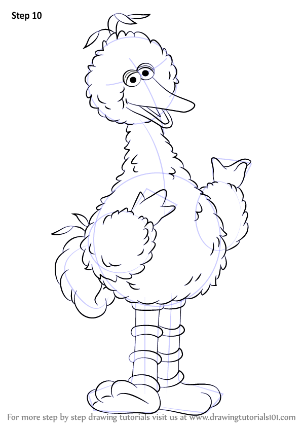598x844 Learn How To Draw Big Bird From Sesame Street - Big Drawing