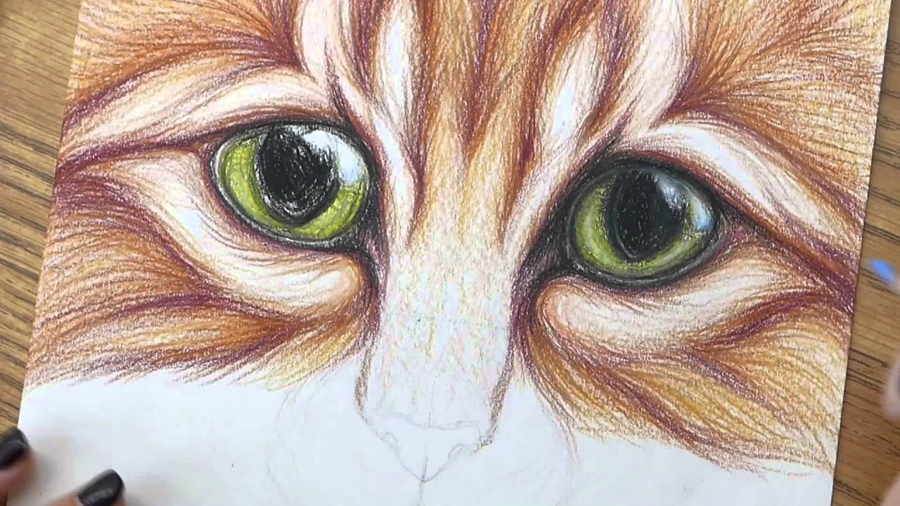 1280x720 Cute Kitty Cat With Big Eyes Drawing - Big Eyes Drawing