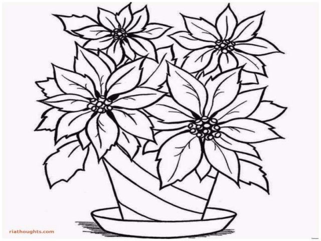 640x480 Drawing Of Big Flowers The Biggest Disadvantage Of Using How - Big Flower Drawing