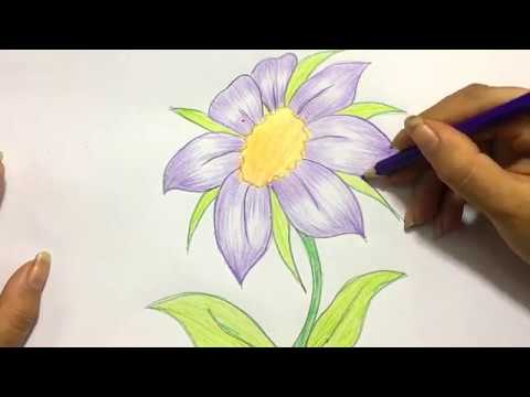 480x360 How To Draw A Big Flower Easy Draw With Beginner - Big Flower Drawing