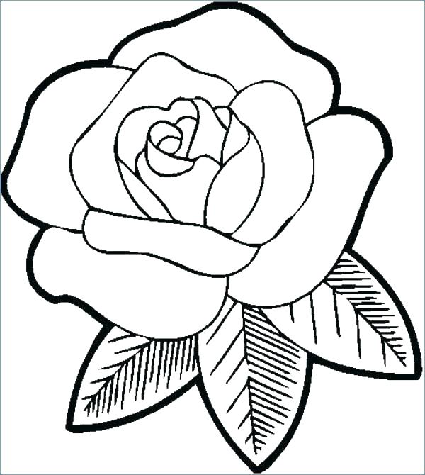 600x670 A Flower Coloring - Big Flower Drawing