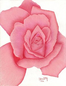 232x300 Pink Satin Drawing - Big Flower Drawing