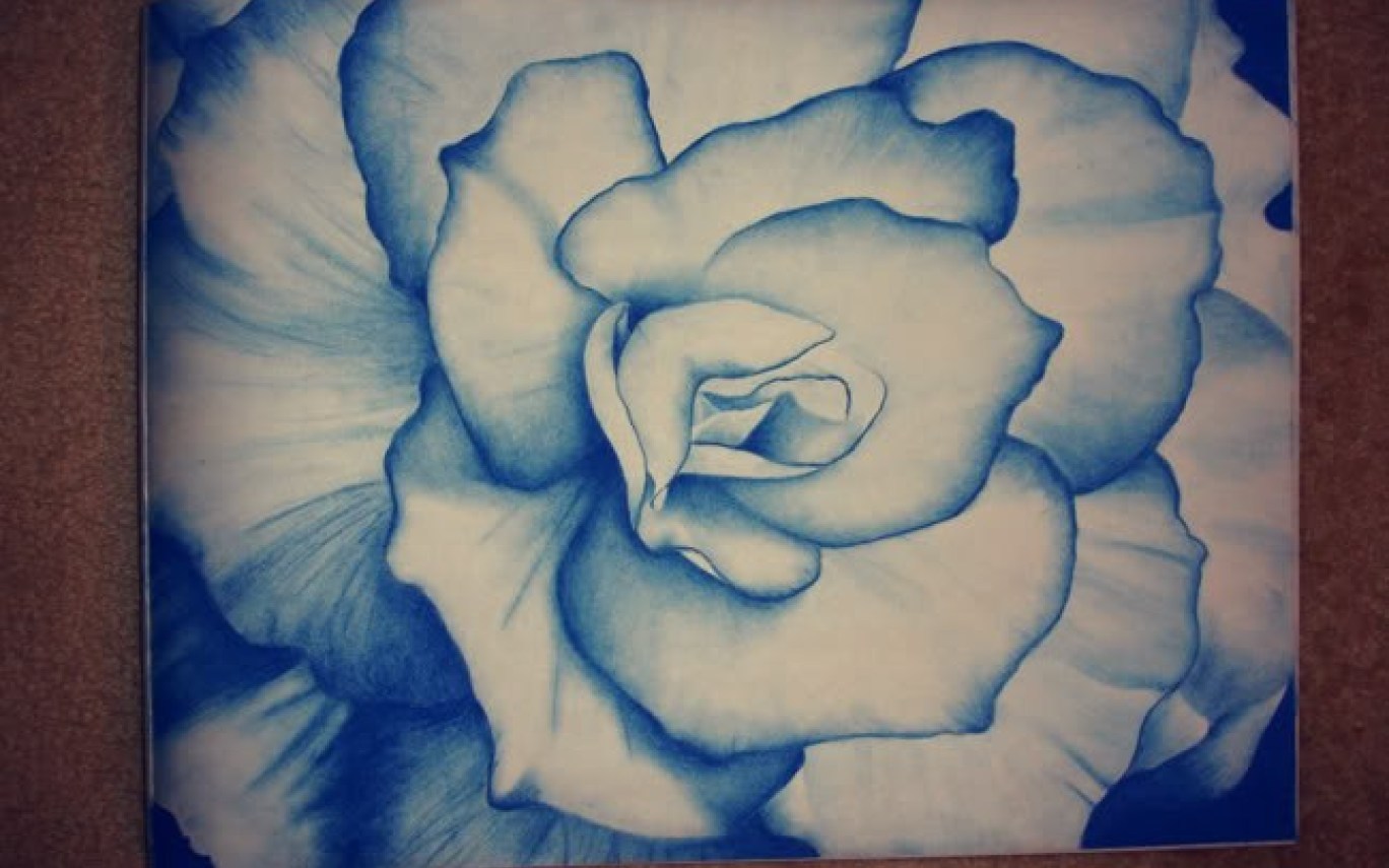 1368x855 Big Flower Drawing Images - Big Flower Drawing