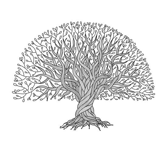 550x489 Big Tree With Roots Posters - Big Tree Drawing