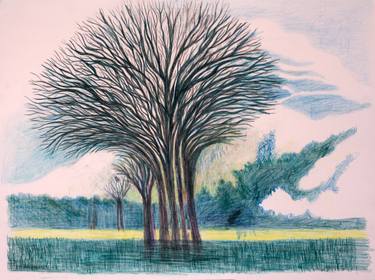 375x280 Colored Big Tree Drawing - Big Tree Drawing